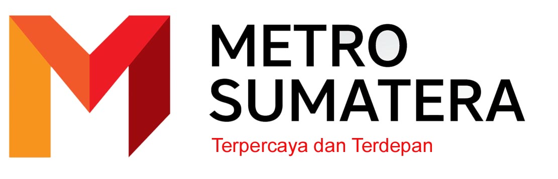 Logo MS copy