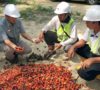 Cargill Dukung Petani Plasma Indonesia