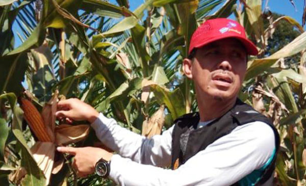 Jagung 4