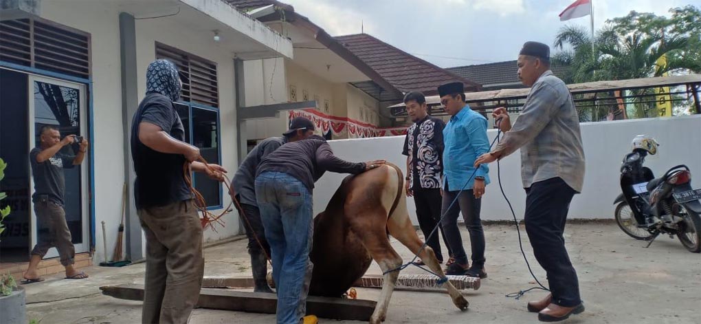 Kurban 2