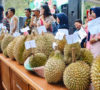Ken-Durian Lebong Sukses Kenalkan Objek Wisata