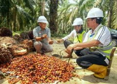 Cargill bekerja sama dengan YIDH akan melatih lebih dari 8.900 petani swadaya melakukan praktik perkebunan yang baik dan prinsip-prinsip keberlanjutan sebagai bagian dari komitmen Cargill untuk pelibatan petani. Cargill telah menjalankan kemitraan serupa dengan 22.000 petani plasma di Sumatera Selatan dan Kalimantan Barat serta akan membawa pengetahuan dan pengalamannya ke dalam inisiatif baru ini.