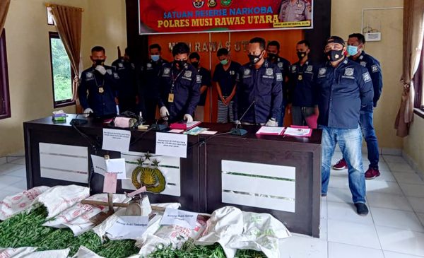 Polisi gelar kasus pengungkapan ladang ganja.