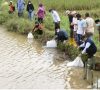 Walikota Beri Bantuan Benih Ikan di Tebat Betelang
