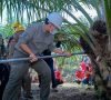 Mentan Minta Muba Pertahankan Produktifitas PSR Kelapa Sawit