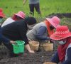 Ketua DPR Dengarkan Keluhan sambil Turun ke Kebun bersama Petani Bawang Mojorembun
