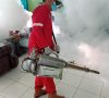 Hindari DBD, Bupati Minta Galakan 3 M