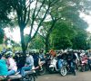 Ribuan Pengunjung Padati Lokasi Wisata Perkebunan Teh Gunung Dempo