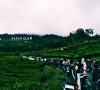 Ribuan Pengunjung Mulai Memadatti Kawasan Objek Wisata Di Seputaran Perkebunan Teh Gunung Dempo