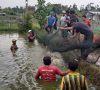 Manfaatkan Lahan Tidur 2,5 Hektar, Diskanak OKU Timur Sukses Launching Hasil Panen Ikan melalui Kelompok Rawa Sari