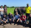 Puskass Pelajari Konflik Gajah Palembang dan Manusia di OKI