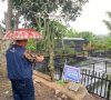 Desa Di Lahat Jadi Penilaian Program Kampung Iklim dari KLHK