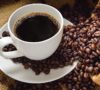 Ekspor Kopi Lampung Meningkat