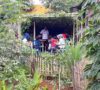 Galakan Tanam Buah, Sayur dan Toga Dipekarangan