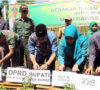 ‘Kampung Pedas’ Tiap Rumah Tanam Cabai