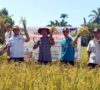 Kabupaten Bengkulu Selatan Galakkan Gerakan Tanam Jagung
