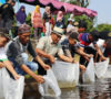 Pemkab Muba Tebar Ratusan Ribu Bibit Ikan Jelawat dan Nilem