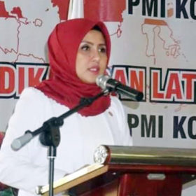 PMI 2