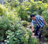 Kades Gunung Sakti Lakukan Pembersihan TPU