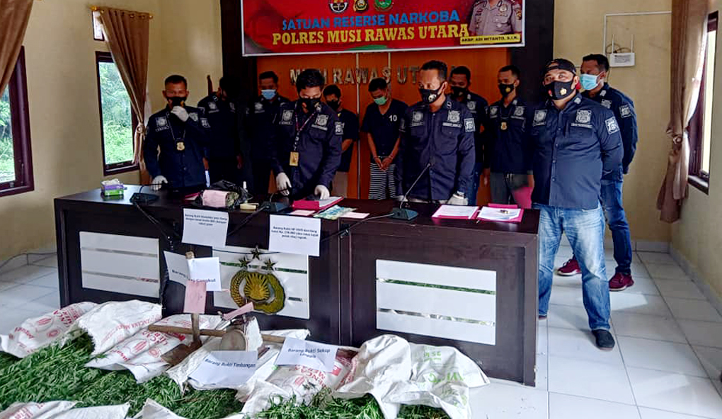 Polisi gelar kasus pengungkapan ladang ganja.