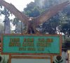 Wakil Ketua PPM Kecam Penebangan Pohon Hingga Jatuh ke Makam Pahlawan
