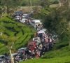 Ribuan Pengunjung Padati Objek Wisata Kebun Teh Gunung Dempo Saat Pergantian Tahun