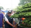 Kontes dan Pameran Bonsai Nusantara Tuai Pujian