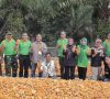 SKK Migas-Pertamina EP Limau Panen Raya di Muara Enim: Dukung Ketahanan Pangan Nasional