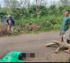 Membela Diri Dari Laki-Laki Hidung Belang Korban Alami Penganiayaan Hingga Tewas