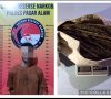 Satres Narkoba Polres Pagaralam Ringkus Bandar Ganja