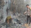 Berjibaku Padamkan Karhutla, Tak Terasa Sepatu PDL Hangus Terbakar