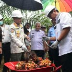 Hasil Meningkat, Panen Lebih Cepat