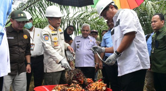 Hasil Meningkat, Panen Lebih Cepat