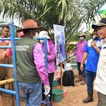 Transfer Embrio (TE) Upaya Pemkab OKI Tingkatkan Kualitas Bibit Ternak Sapi