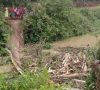 Akses Masyarakat Terhambat, Jembatan Penghubung Desa Gunung Mas Menuju Desa Madugondo Ambruk