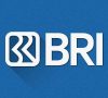 PENGUMUMAN BRI CABANG LAHAT