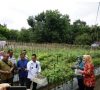 Pj Bupati Empat Lawang Lakukan Penanaman Cabai Bersama Masyarakat
