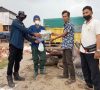 Disbunnak OKI Sigap Vaksinasi Massal Ratusan Kerbau