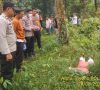 Mayat Perempuan Tanpa Indetitas Ditemukan Warga di Kebun Karet, Posisi Tengkurap