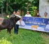 Pemkab OKU Timur Berikan Bantuan 1 Ekor Sapi Kurban untuk Wartawan, Ketua PWI Usman : Terimakasih Pak Enos-Yudha